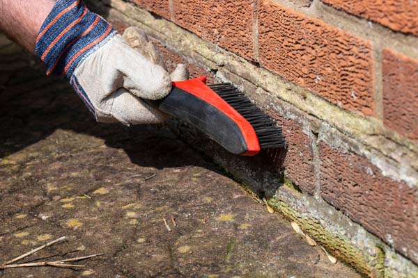 Comment nettoyer un mur extérieur ?