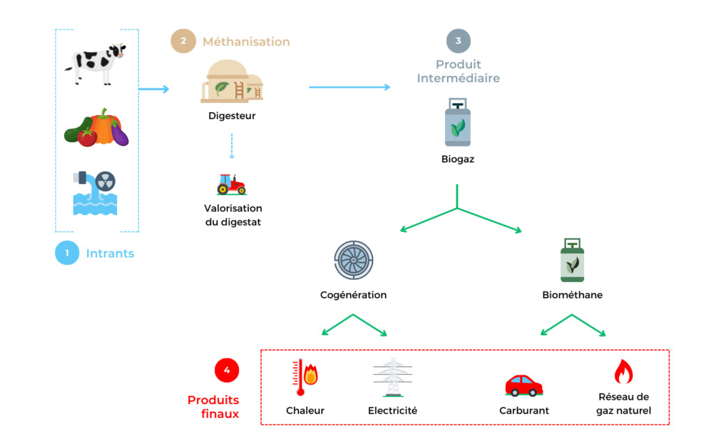 cycle de transformation du biogaz