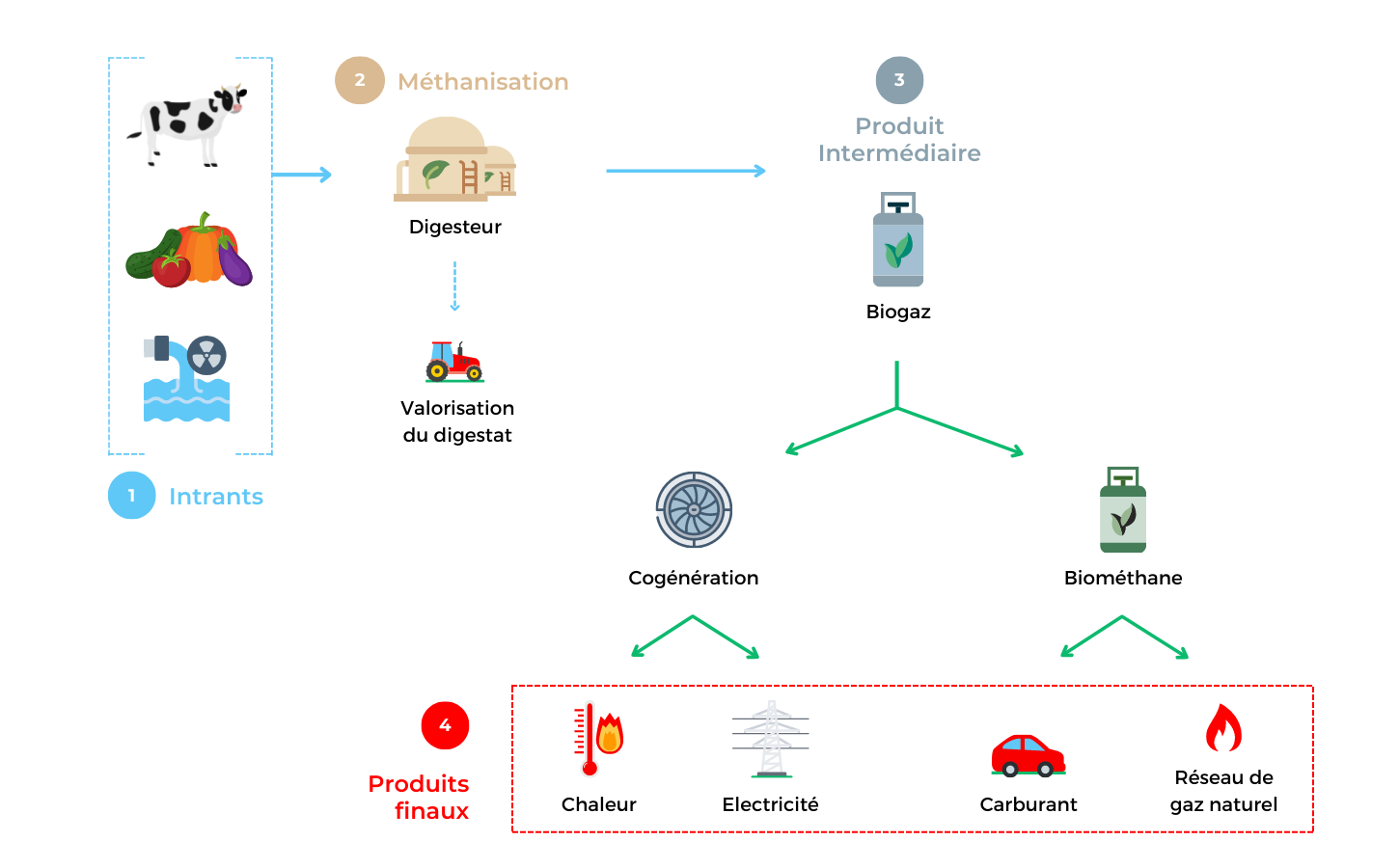 Le biogaz, c'est quoi ? Définition & fonctionnement