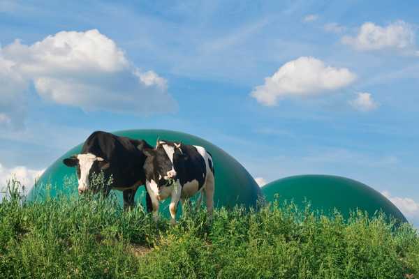 C'est quoi le biogaz