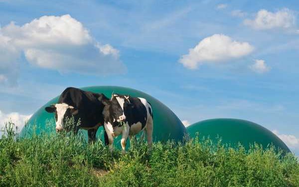 C'est quoi le biogaz